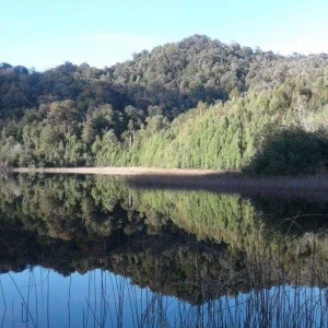 conservacion-reloncavi